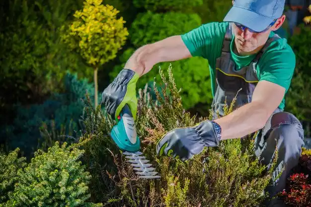 landscaping services Pevely